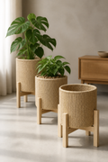 Jute Rope Standing Plant Pot - Set of 3