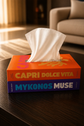 Decorative Tissue Box / Cartoon